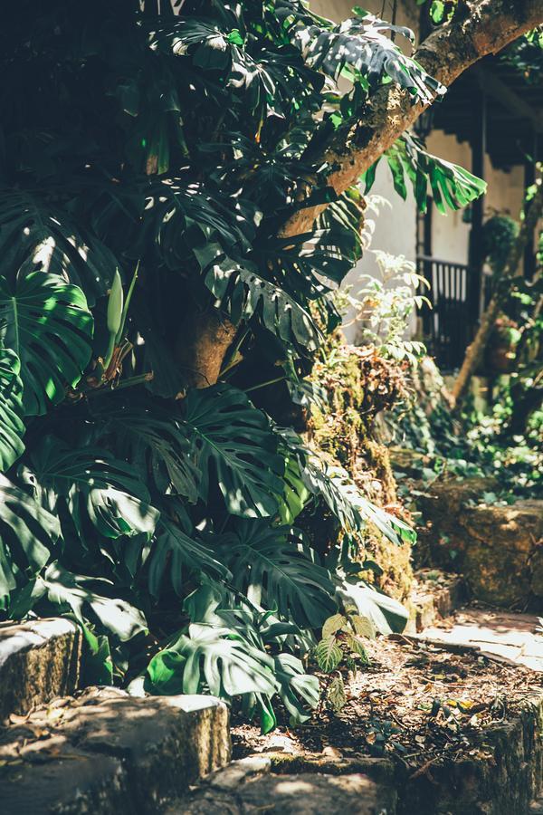 Hotel Hacienda Baza Tibana Kültér fotó